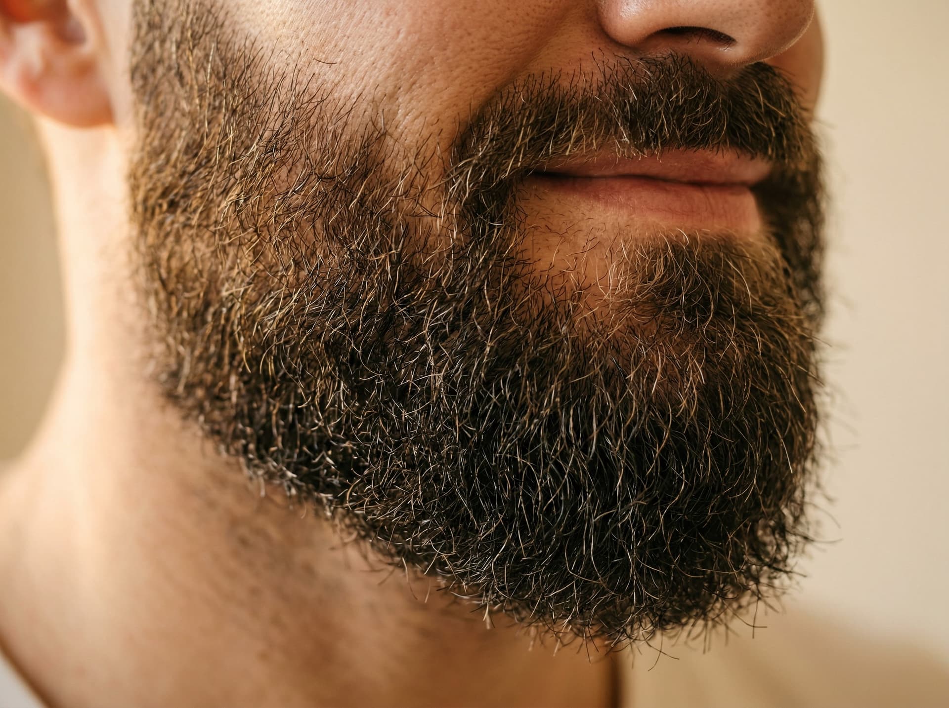 Greffe de Barbe